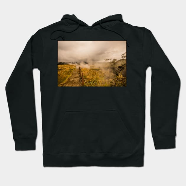 Island Volcano 5 Hoodie by KensLensDesigns